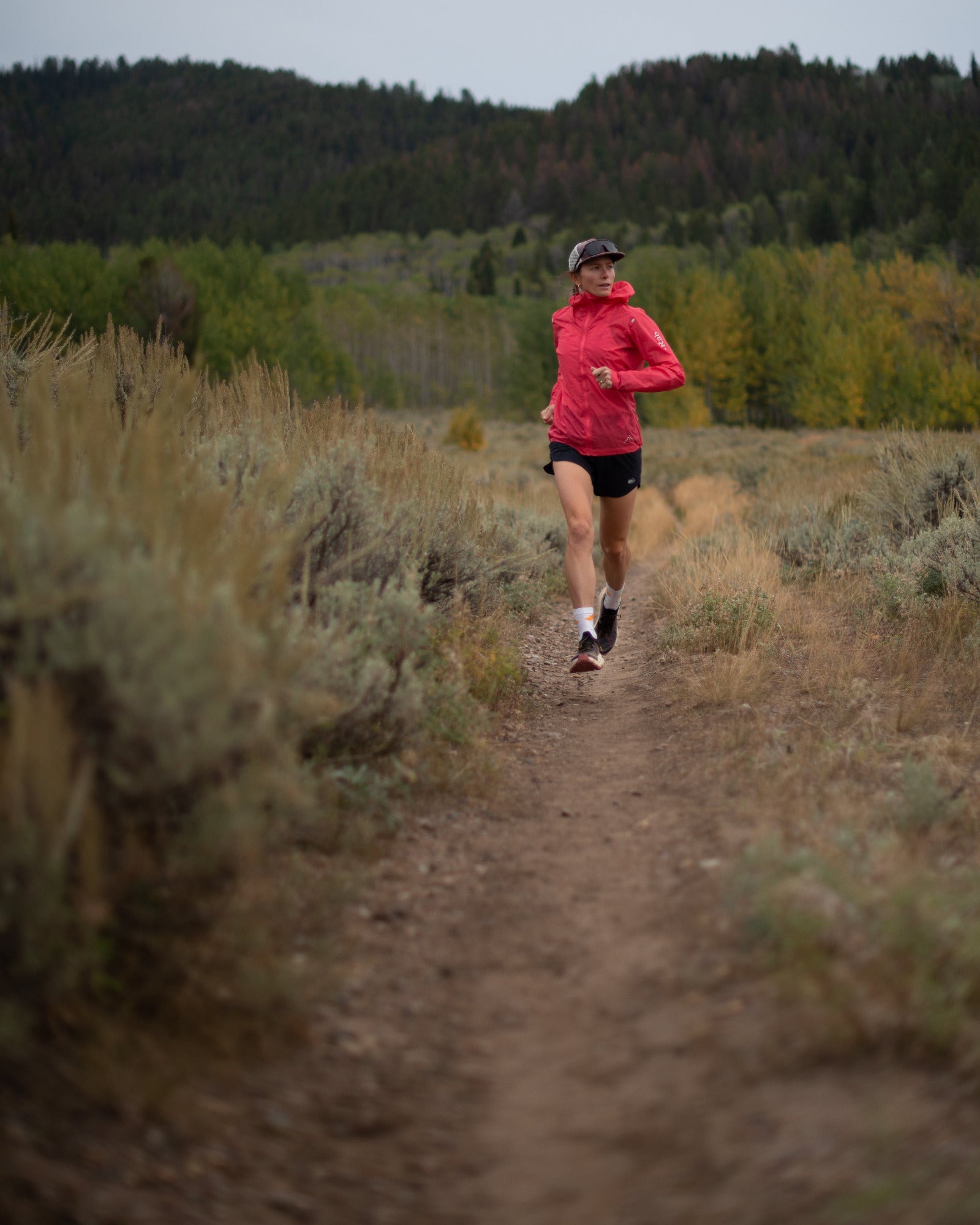 Midweight Performance Poppy Sock – East Peak